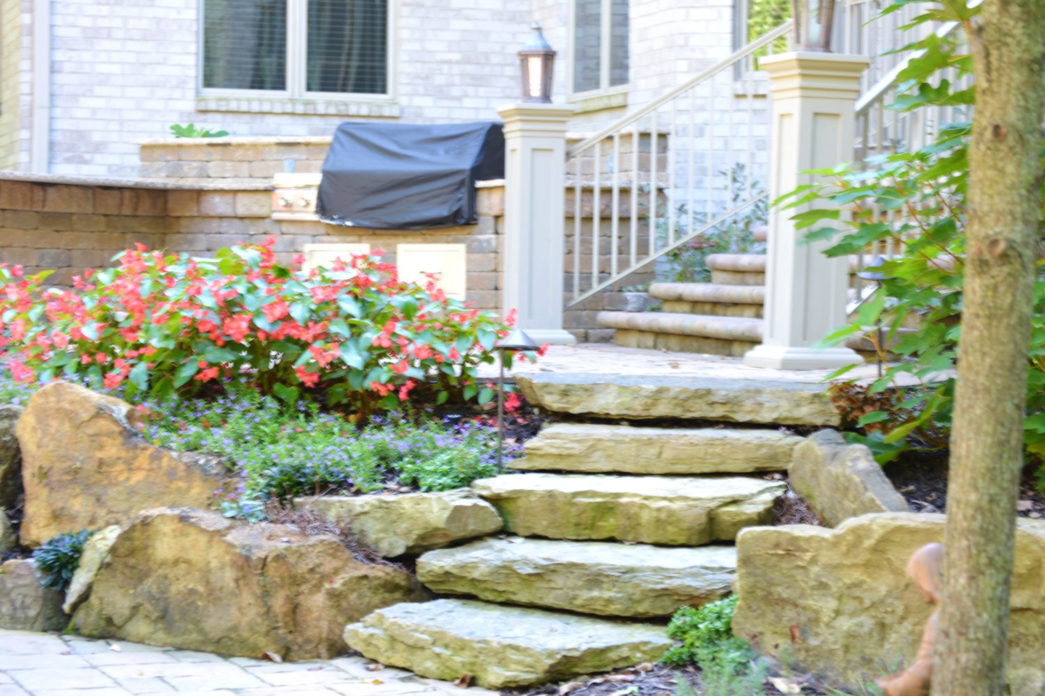Hardscape steps surrounded by annual flowers