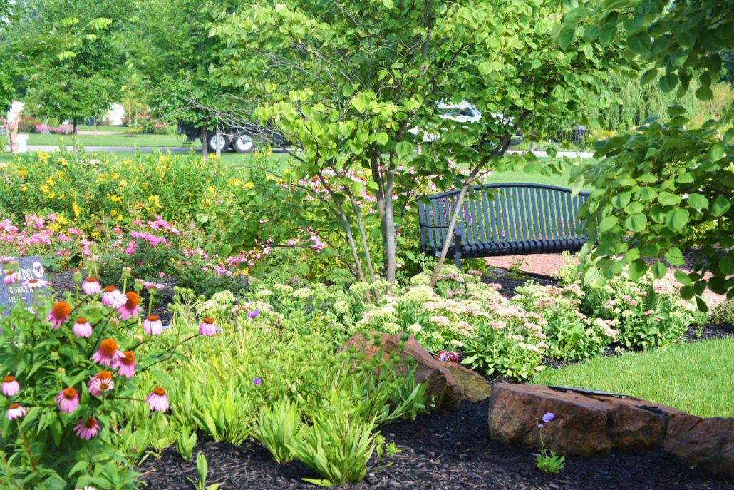 Park Scene with Annual Flowers