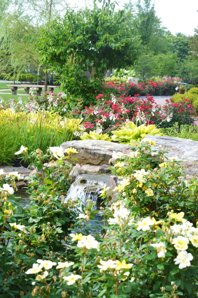 Annuals surround a waterfall water feature