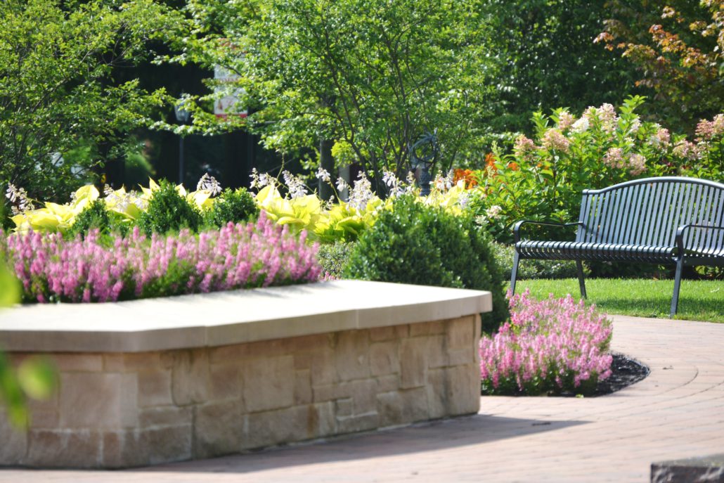 Outdoor park scene filled with annuals