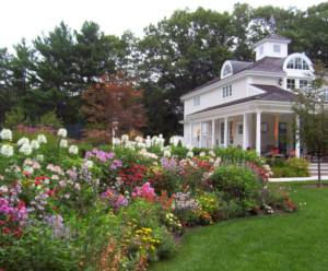 professional landscaping in backyard