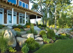 Stones and landscaping in backyard